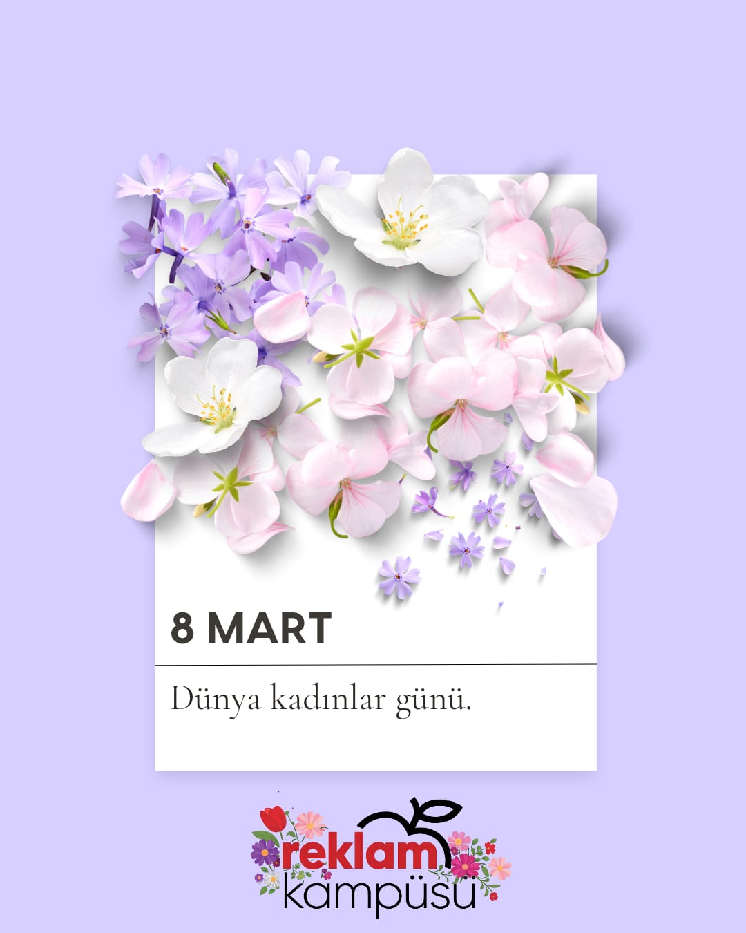 Pazarlamanın Genç Kadın Sesleri